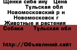 Щенки сиба ину › Цена ­ 15 000 - Тульская обл., Новомосковский р-н, Новомосковск г. Животные и растения » Собаки   . Тульская обл.